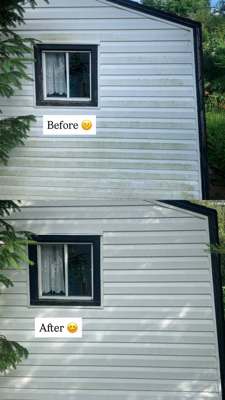 Before and after siding cleaning transformation